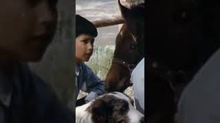 Run Appaloosa Run 1966 movie walkingonsunshine walkinginthesun [upl. by Reifnnej]