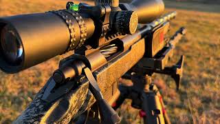 22 Creedmoor  Sub MOA Hornady Factory Ammo testing coyotes hunting 224 22creedmoor 22cm [upl. by Anivle]