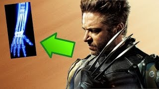 5 FATOS BIZARROS SOBRE AS GARRAS DO WOLVERINE LOGAN [upl. by Evers492]