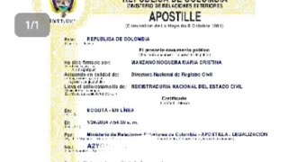 ¿Cómo apostillar un registro civil de nacimiento y de matrimonio en linea 😁🇨🇴☺️ [upl. by Lartnom]