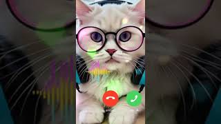 Best Iphone mobile ringtone sounds 🔥🔥🔥 stylist cute cat shorts calltone catcalling💓💓😌💋 [upl. by Stoddard]