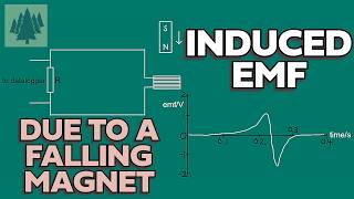 Electromagnetic Induction  Induced EMF Due To a Falling Magnet  Alevel Physics [upl. by Trixie]