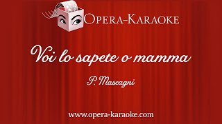 Voi lo sapete o mamma Karaoke Accompaniment [upl. by Roth328]