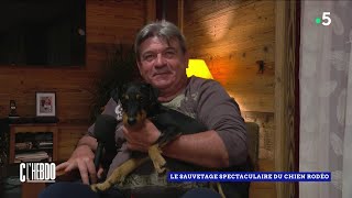 Le sauvetage spectaculaire du chien Rodéo  C l’hebdo  09112024 [upl. by Webber]