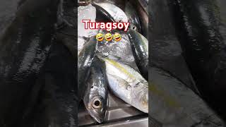 Turagsoy shorts fish [upl. by Durnan]