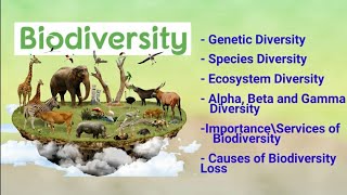 biodiversity its types alpha beta gamma diversity importance amp loss of biodiversity [upl. by Ahseket]