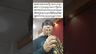 Tchaikovsky Symphony No6french horn first person view 차이코프스키 비창 교향곡 호른 연주자 1인칭 시점 [upl. by Araet]