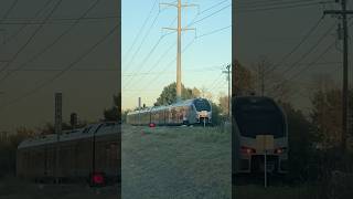 Texrail Bluebonnet  Grapevine Texas [upl. by Kaine851]