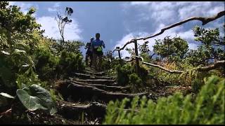 Azores Trail Run 2014  Reportagem RTP [upl. by Macfadyn]