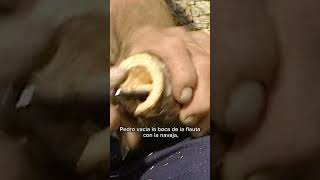 SHORT  FLAUTA DE PASTOR con cuerno de toro y madera de pino Vídeo completo en mi canal [upl. by Islean]