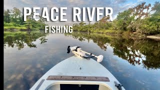 Fishing on the Peace River Florida [upl. by Noryak]