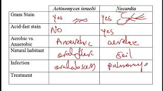 USMLE ACE Video 76 Actinomyces and Nocardia [upl. by Rol]