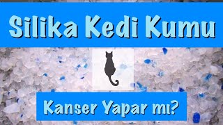 10 VETERİNERE SORDUK  SİLİKONLU KEDİ KUMU KANSER YAPAR MI [upl. by Eahsan]