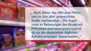 Weichmacher Belastete Lebensmittel WDR Bericht [upl. by Annahsor392]