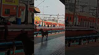 Train At Vadodara Railway Station viralshort viralshort trendingshorts trending indianrailways [upl. by Sheya]