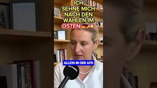 💥DER OSTEN wird Siegen 💥 afd landtagswahl thüringen 2024 höcke brandenburg spd ampelmussweg [upl. by Ahseniuq221]