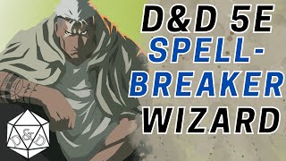 Concentration Breaker AntiMage Specialist  DampD 5e Character Build [upl. by Nirual]