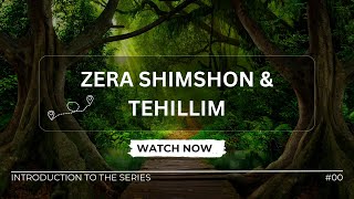 Introduction to Zera Shimshon and Tehillim [upl. by Chun286]