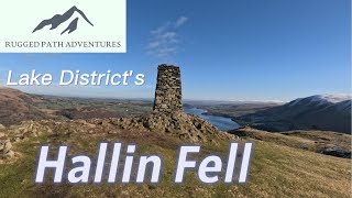 Not To Be Missed  Easy Walk to the Summit of Hallin Fell [upl. by Sawyer296]