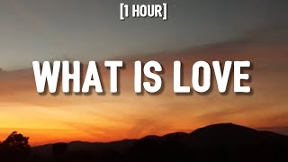 Haddaway  What is Love 1 HOURLyrics  quotbaby dont hurt mequot [upl. by Laresa]