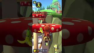 A FLAWLESS Wii Mushroom Gorge Race  Competitive Mario Kart 8 Deluxe [upl. by Ezalb594]