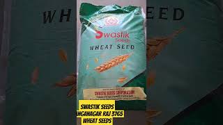 Raj 3765 wheat seeds variety swastikseeds wheatseed 3765 गेहूं agriculture [upl. by Yentyrb]