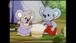 Blinky Bill Season 2 Episode 8 Blinky Bill goes Camping [upl. by Held844]