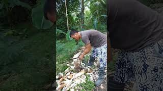 Luto sa Probinsya bambooshoot provincelife food [upl. by Frerichs]