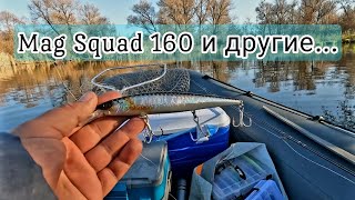 ОСЕННЯЯ РАЗДАЧА ЩУК НА ВОБЛЕРЫ Поверил в Mag Squad 160 [upl. by Innavoeg]