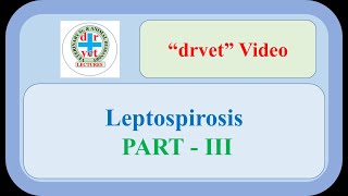 Leptospirosis Part 3 [upl. by Acsirp791]