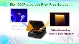 Microtek Bio1000F Gel Imager for EtBralternative stain with High Sensitivity [upl. by Myles]