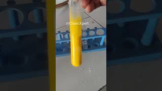 Activity 12 What happens when lead nitrate reacts with potassium iodide [upl. by Hum]