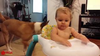 Funny Babies Scared Of Dogs Funny Everyday Compilation [upl. by Theron]