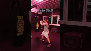 Knie Stoß kampfsporttraining motivation sports martialarts mma [upl. by Annasoh677]