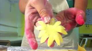 Video 2  Making Sugar Daisies [upl. by Hairem]