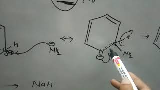 Chichibabin reaction CSIRNETJRF 2019IITJAM [upl. by Munn]