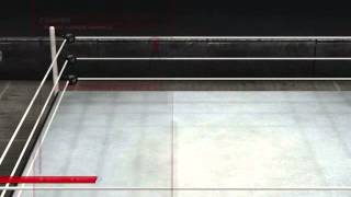 WWE2k14 Paige Moveset [upl. by Kenton95]