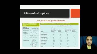 Metabolismo de lípidosParte 5 Biosíntesis de triacilgliceroles y fosfolípidos 35 [upl. by Clair]