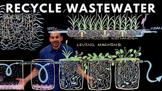 How to Recycle Waste Water Using Plants [upl. by Brittaney151]