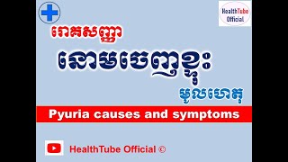 នោមចេញខ្ទុះ មូលហេតុនិងរោគសញ្ញា l Pyuria causes and symptoms ll ​បញ្ហានោម l HealthTube Official [upl. by Ardnyk]