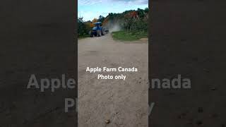 Apple Farm in Canada [upl. by Seiuqram]