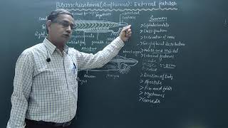 External features of BranchiostomaAmphioxus [upl. by Chuck]