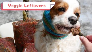 Healthy Frozen and Dehydrated Dog Treats with Fresh Fruit and Vegetables  Easy Dog Treats [upl. by Felizio]