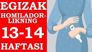 EGIZAK HOMILADORLIGINING 1314HAFTALARI  ЭГИЗАК ХОМИЛАДОРЛИГИНИНГ 1314ХАФТАЛАРИ [upl. by Netsrek]