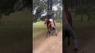 ✨✨✨cowgirls wrangler horseranch coltstarting western [upl. by Ettecul479]