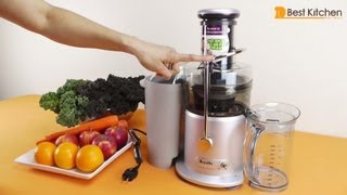 Breville JE98XL Juice Fountain Plus 850Watt Juice Extractor Review [upl. by Otanutrof]