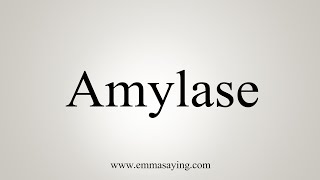 How To Say Amylase [upl. by Maleen]