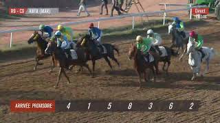 Live Hippodrome « CASABLANCA »  Courses du « 04112024 » [upl. by Madelle]