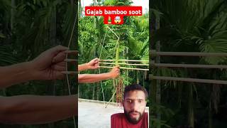 gajab bamboo soot shorts bamboo bamboogun bow sorts shorts diy satisfying bowmaker [upl. by Sirrep]