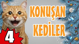 Konuşan Kediler 4  En Komik Kedi Videoları [upl. by Archangel]